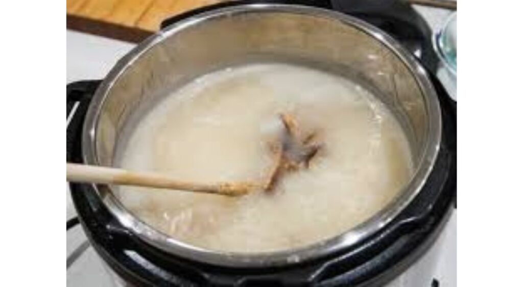 Instant Pot Chicken Congee